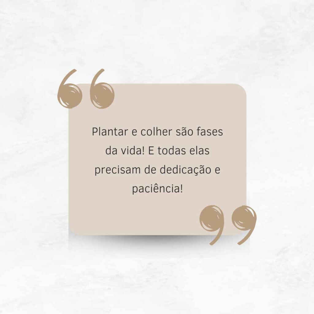 Plantar E Colher S O Fases Da Vida Frases Para Postar