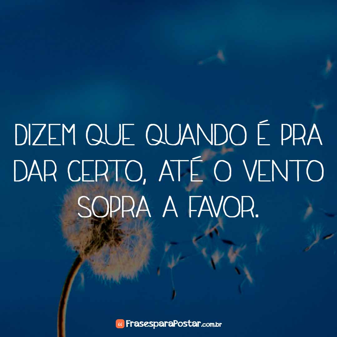 Frases Bonitas