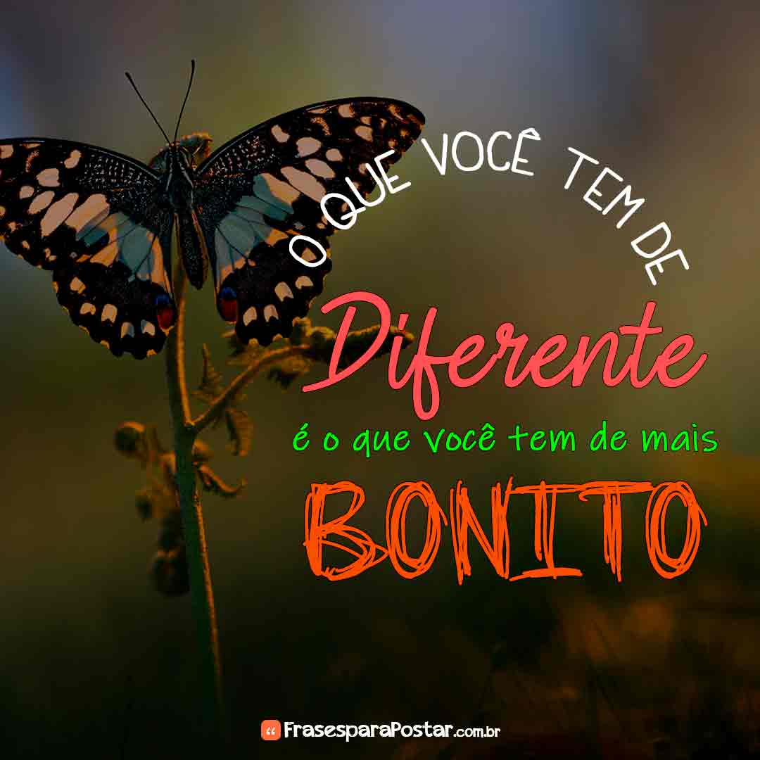 Frases Bonitas