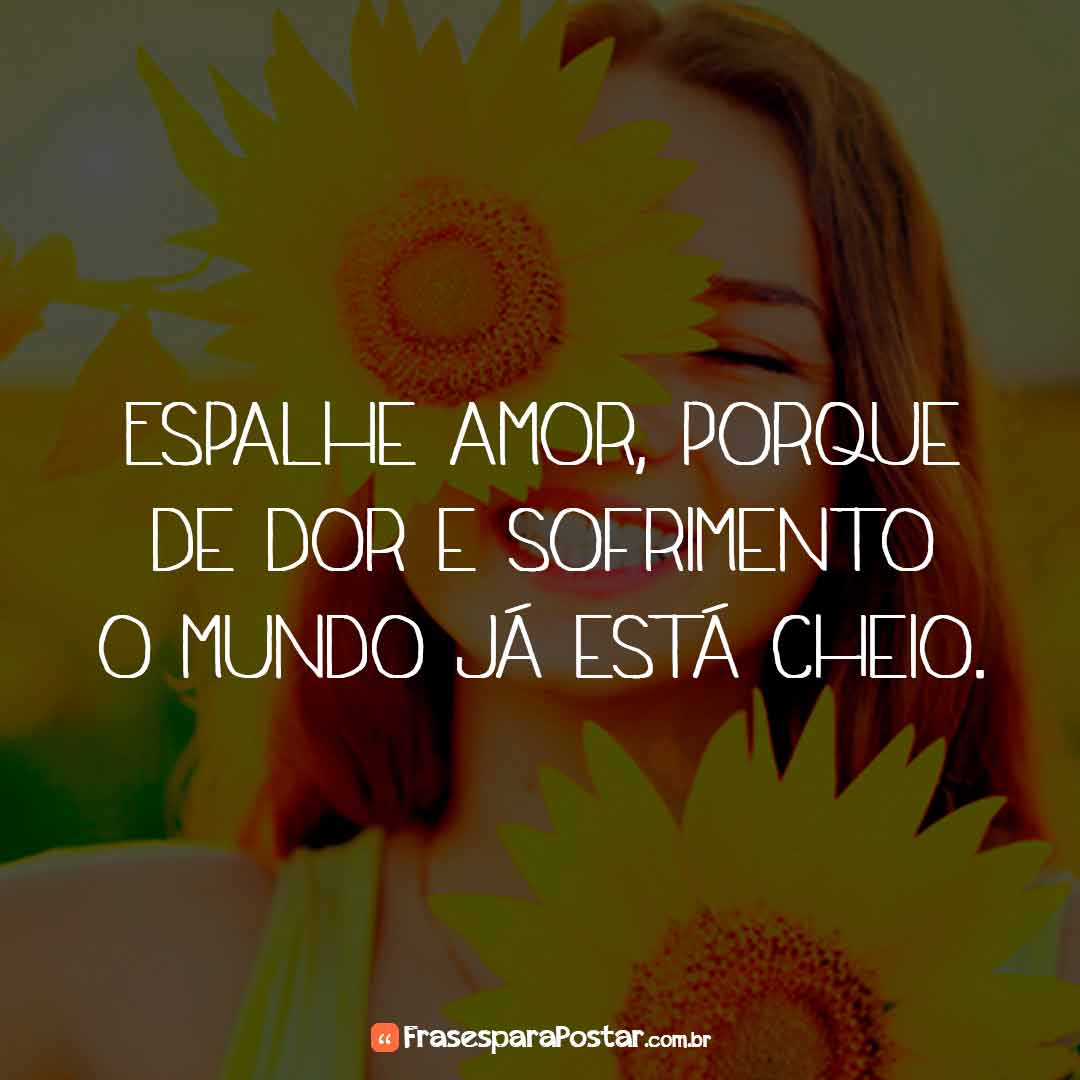 Frases de Motivação