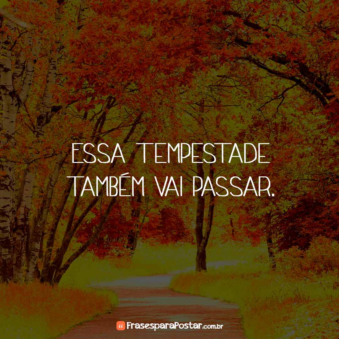 Frases de Motivação