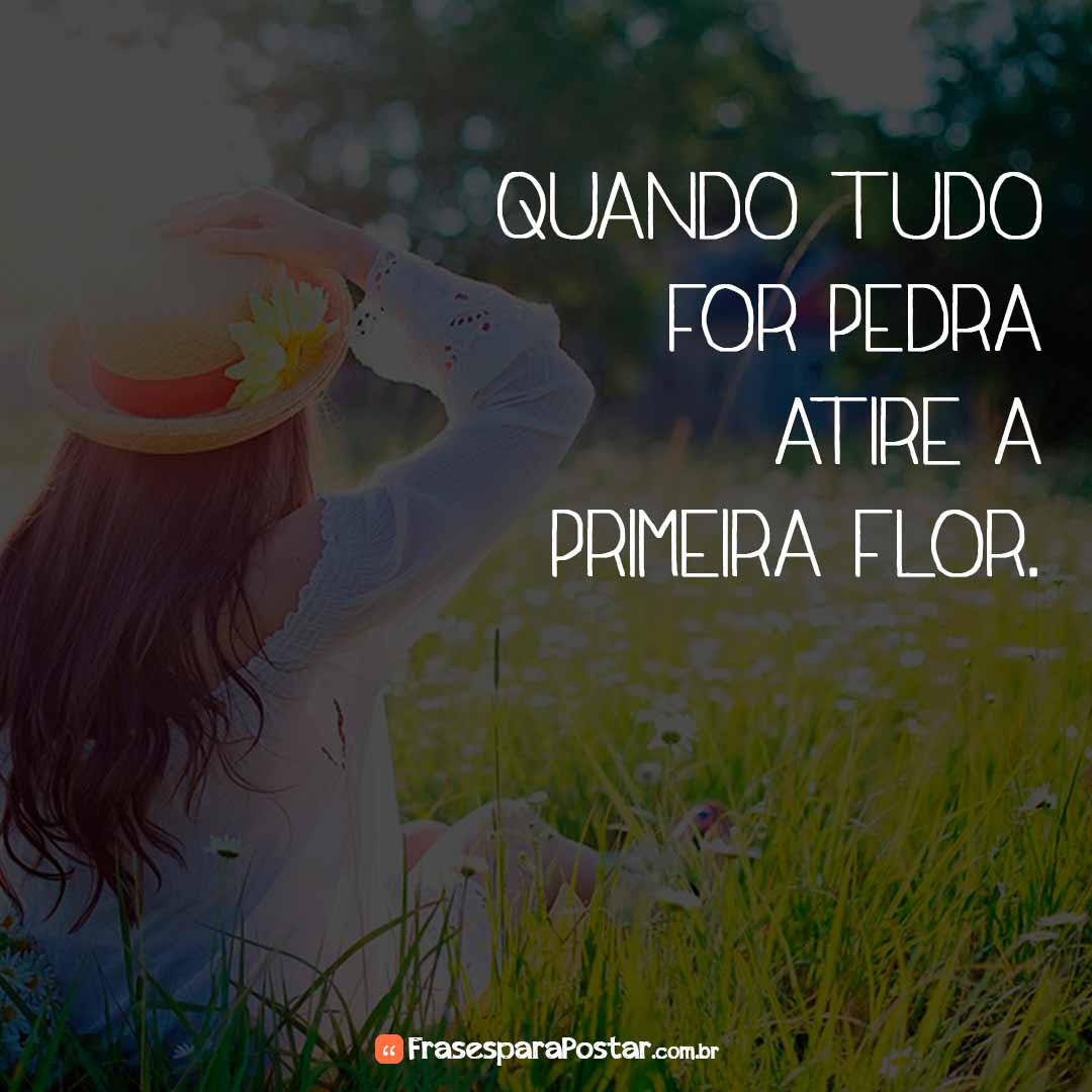 Frases Bonitas