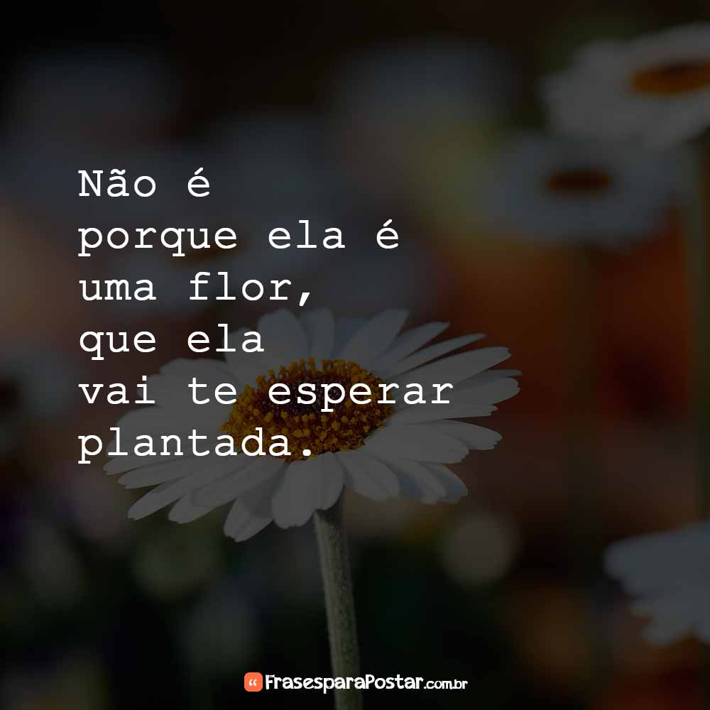 Frases Pensativas