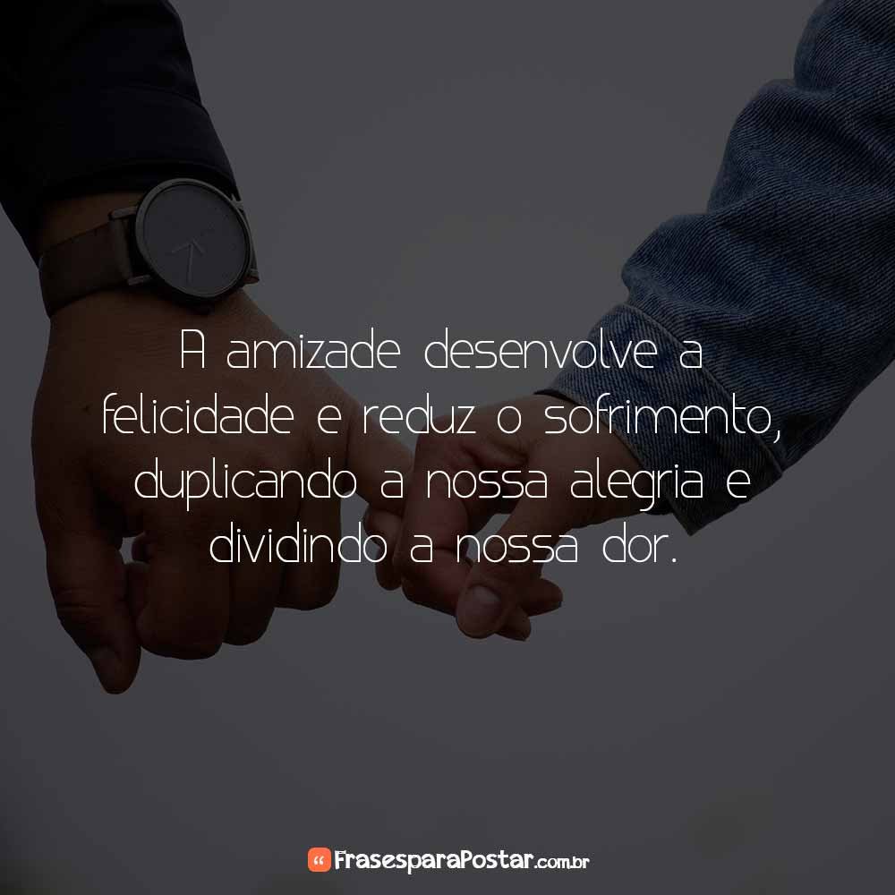 A amizade desenvolve a felicidade e reduz o sofrimento, duplicando a nossa alegria e dividindo a nossa dor.