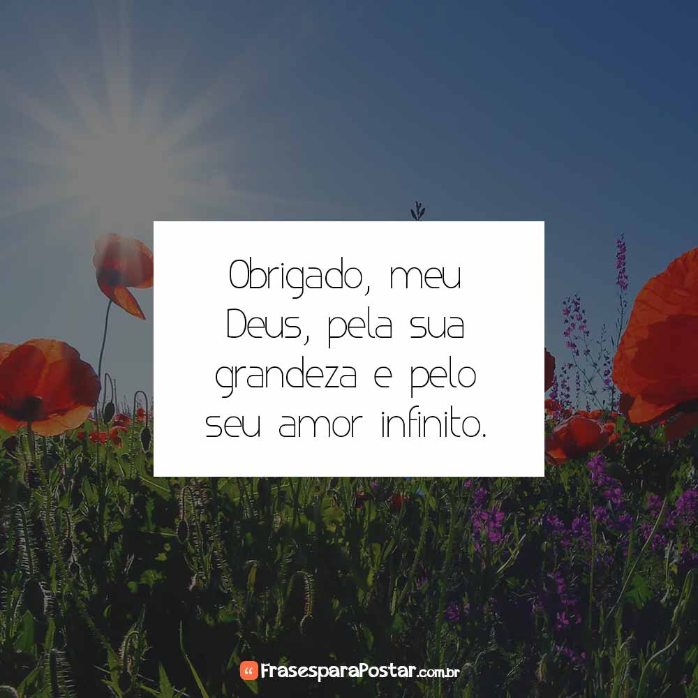 Frases de Gratidão