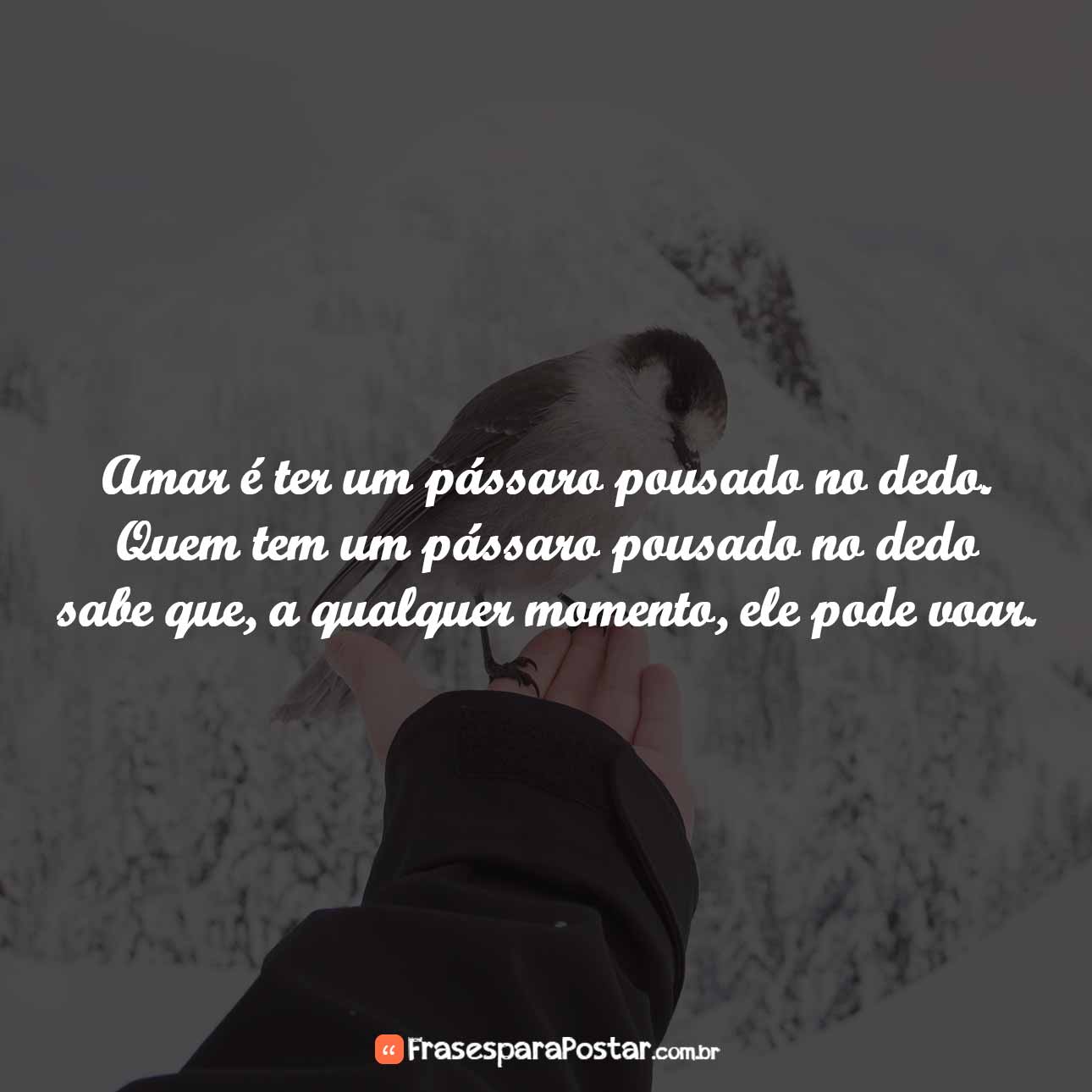 Frases de Desapego