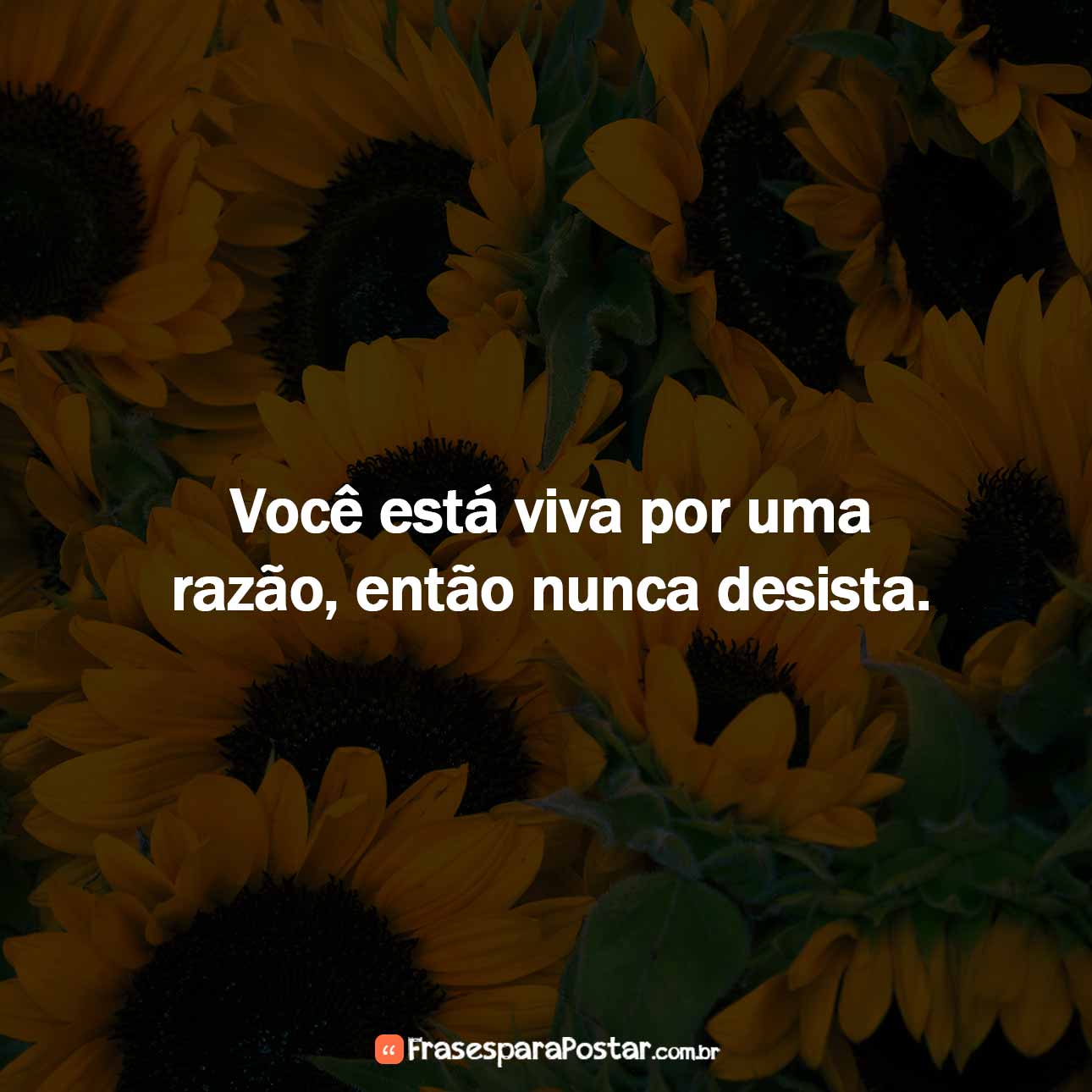 Setembro Amarelo