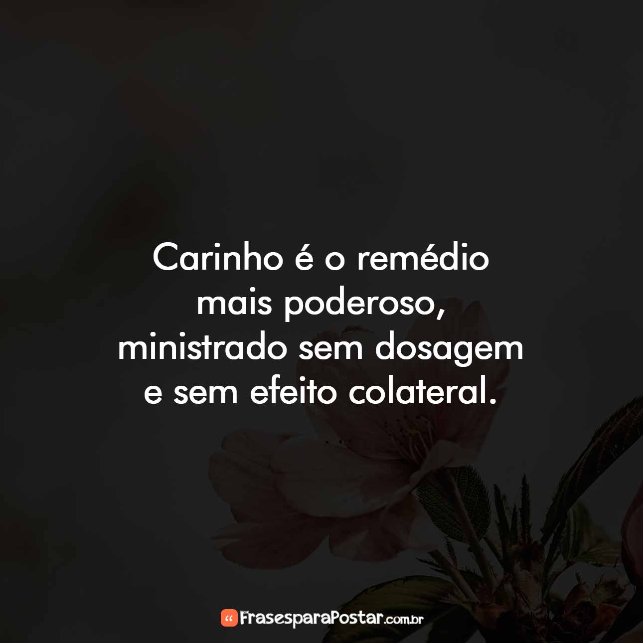 Carinho