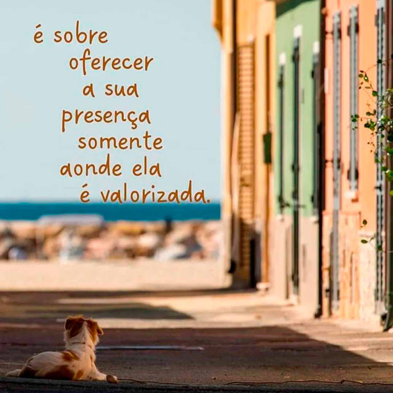 Frases para Status