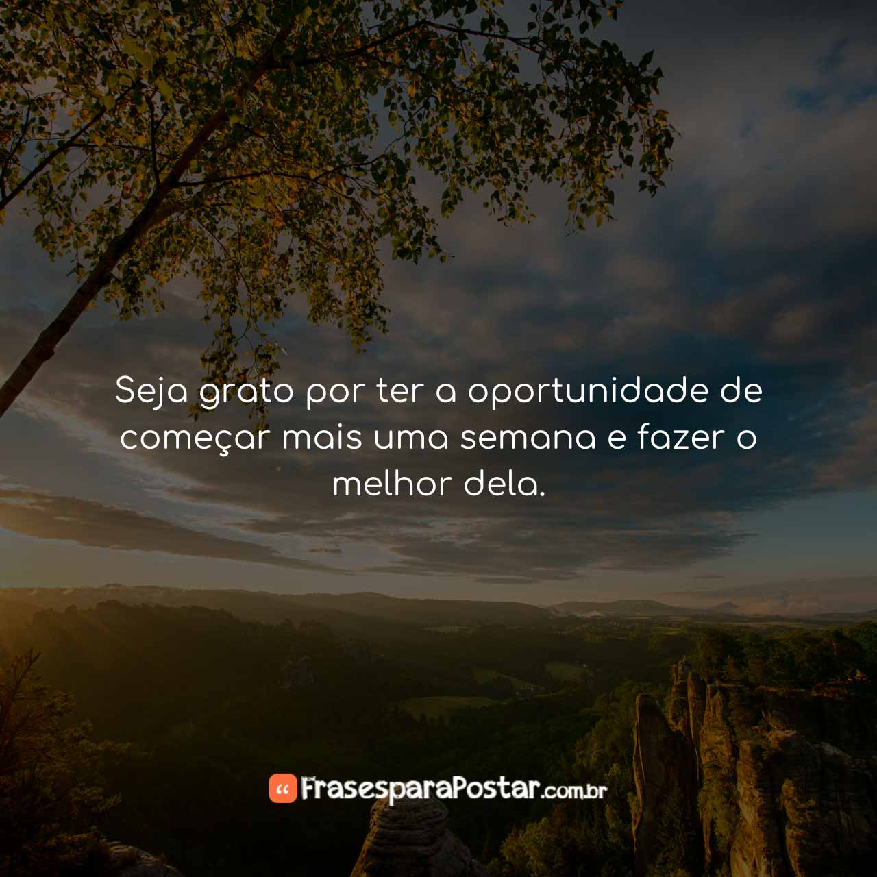 Frases de Segunda-Feira