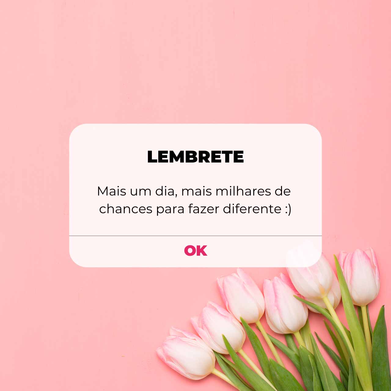 Mensagem do Dia