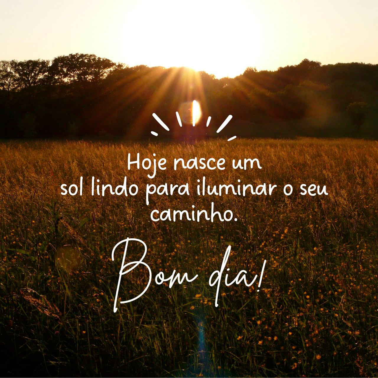 Frases para Postar - Frases para Status