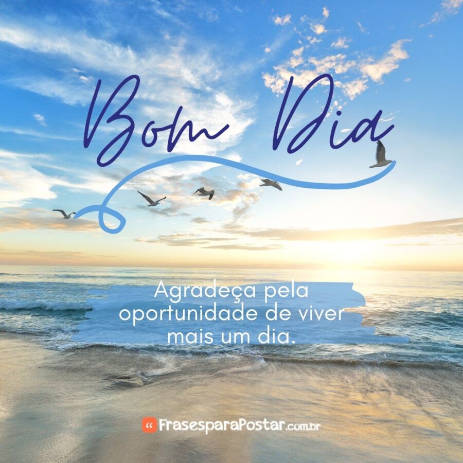 50 Frases de Bom Dia para Começar o Dia com Positividade - Frases para ...
