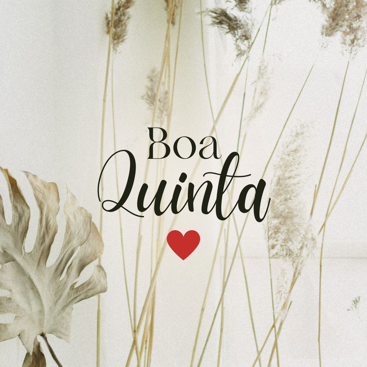 Boa Quinta!