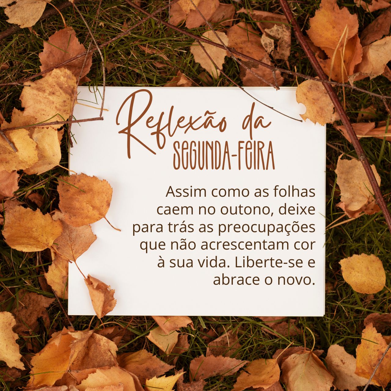 Reflexão da Segunda