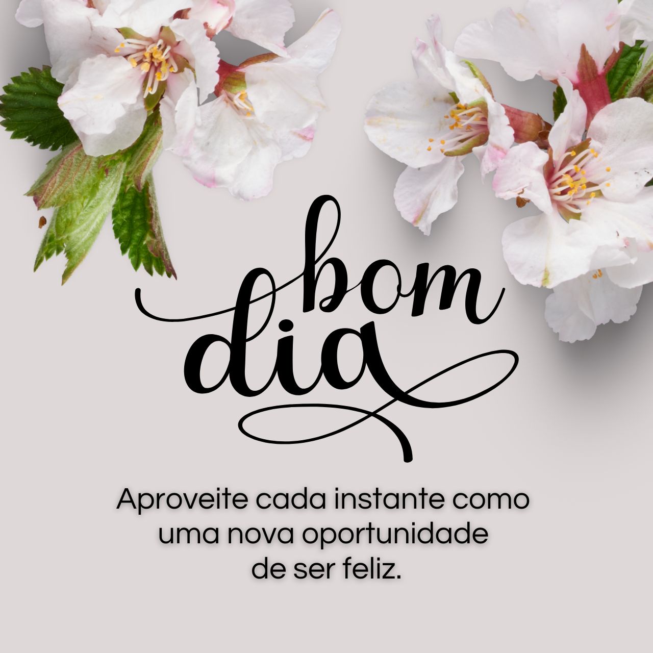 Bom Dia!