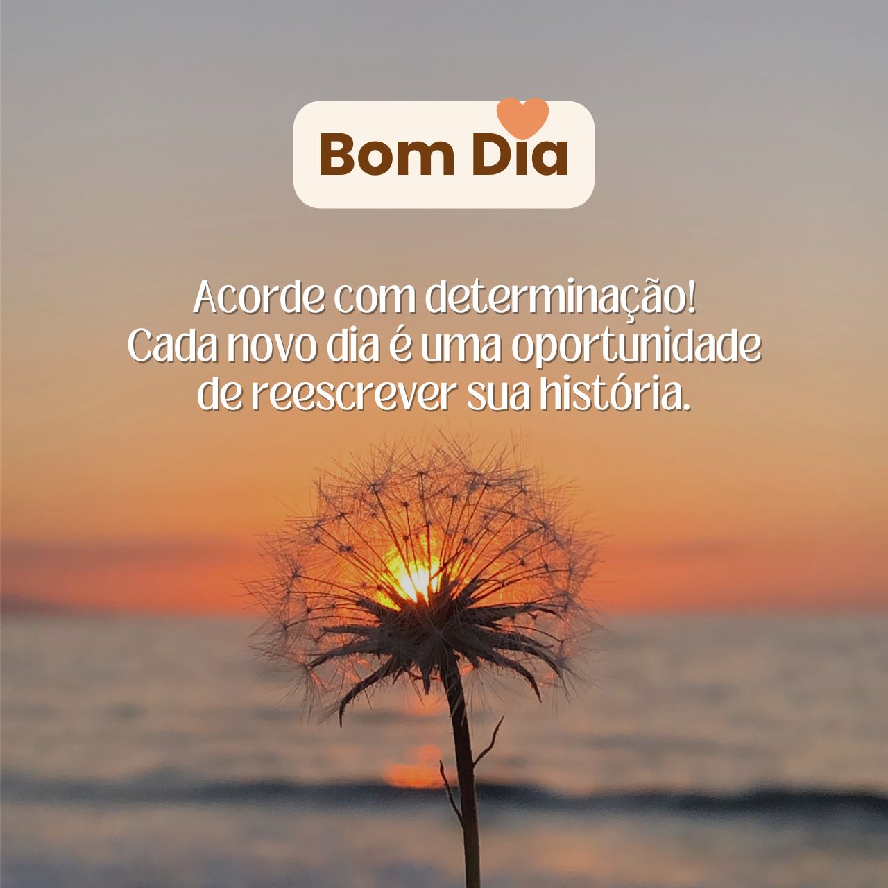 Bom Dia