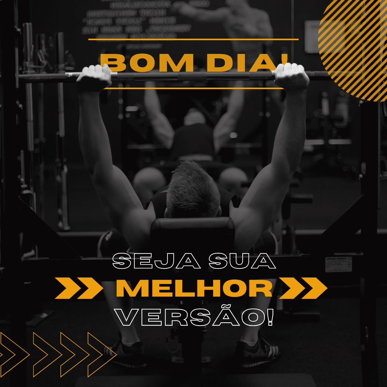 Bom Dia! Seja sua melhor versão!