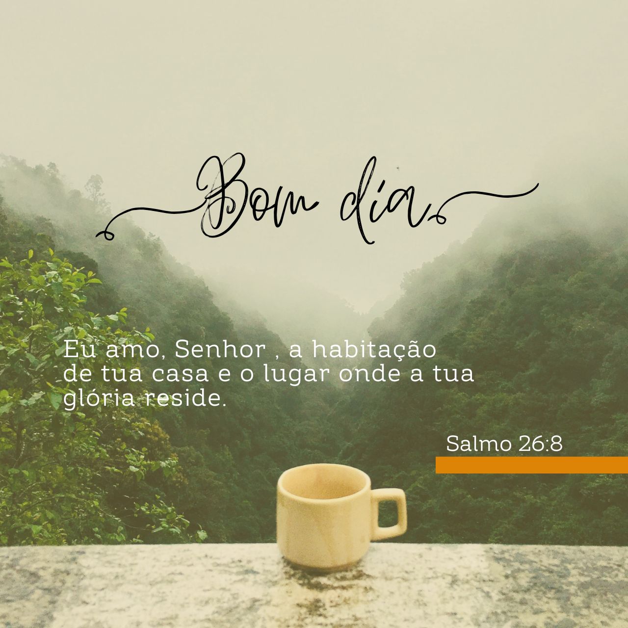 Bom Dia!
