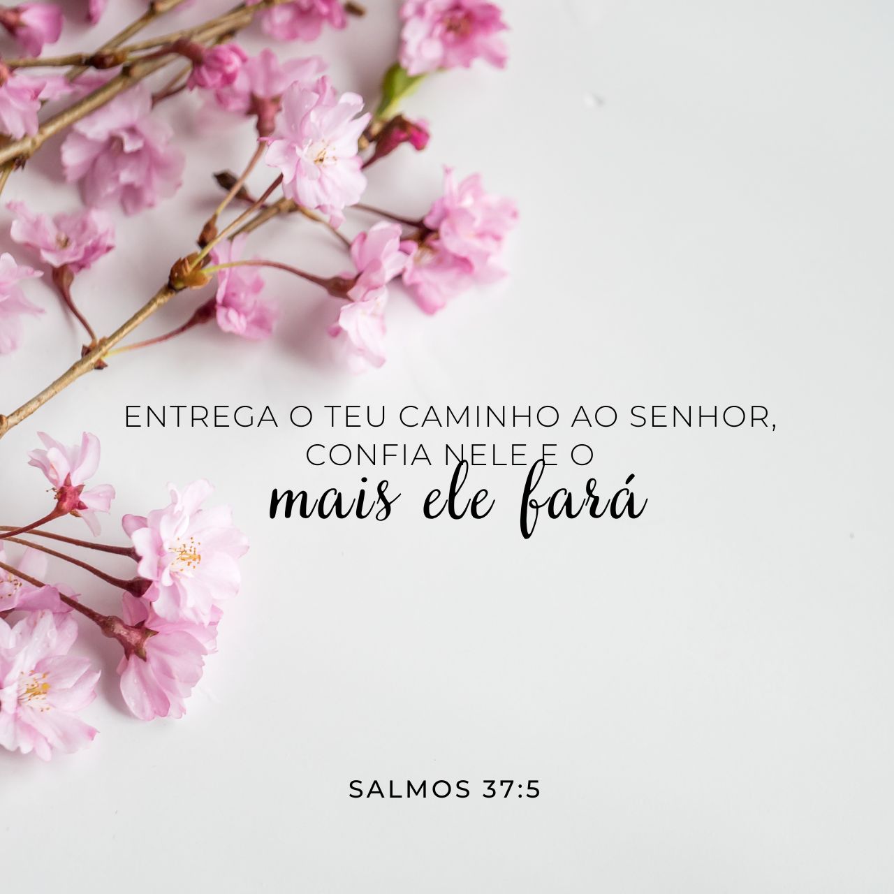 Entrega o teu caminho ao senhor