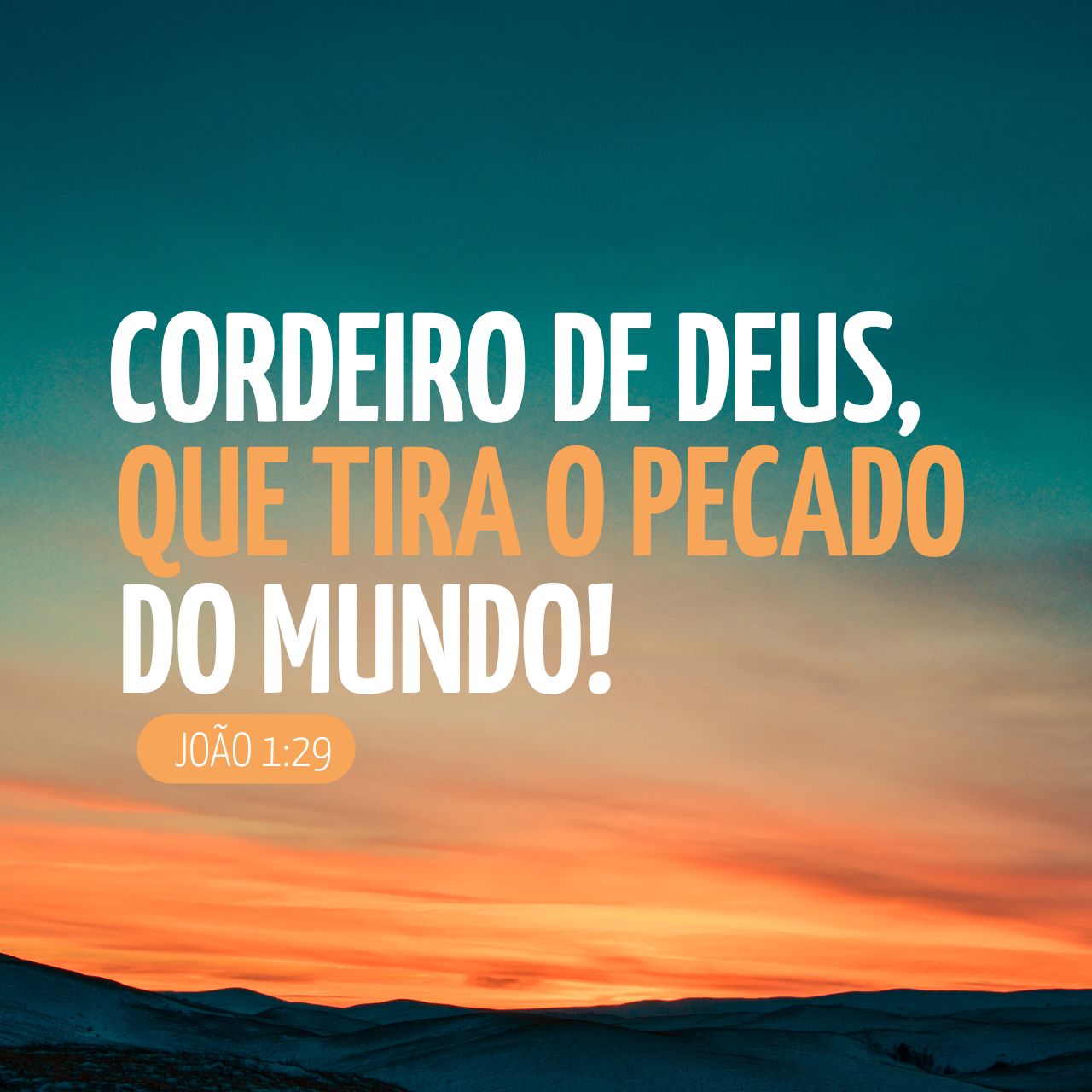 Cordeiro de Deus, que tira o pecado do mundo!
