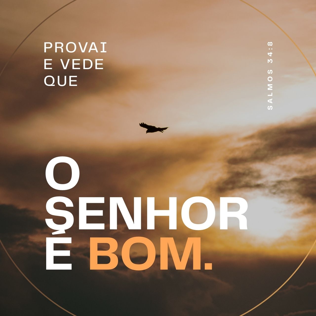 Provai e vede que o Senhor é bom